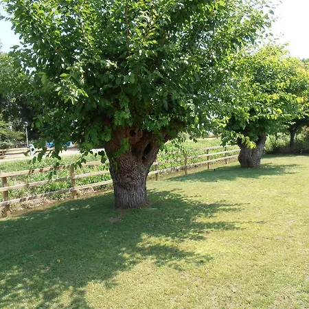 L'artigliere Ristorante Con