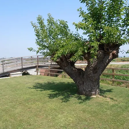 L'artigliere Ristorante Con Isola della Scala